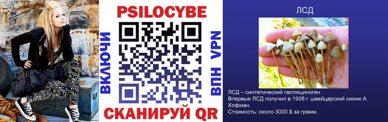 где купить наркоту  Саяногорск  Галлюциногенные грибы Magic Shrooms 
